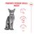 Royal Canin Fussy Exigent