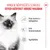 Royal Canin Kitten Mousse Royal Canin Kitten Mousse