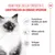 Royal Canin Kitten umido in Mousse per gatti