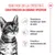 Royal Canin Kitten Sterilised in Salsa
