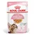 Royal Canin Sterilized Kitten em geleia Royal Canin Sterilized Kitten em geleia