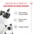 Royal Canin Mother & Babycat umido in Mousse ultra soffice per gatti