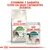 Royal Canin Active Life Outdoor 7+ ração seca e Royal Canin Instinctive 7+ saqueta húmida para gatos. Texto: Combine 1 saqueta com os seus croquetes diários.