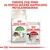Royal Canin Active Life Outdoor -kuivaruokapakkaus ja Royal Canin Instinctive 85 g märkäruokapussi. Yhdistä yksi pussi ja sopiva määrä nappuloita päiväannokseksi.