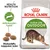 Royal Canin Active Life Outdoor -kissanruokapakkaus, tekstit: Health Nutrition, Aktiivisuuden tueksi, Mukautettu nappulan koko. Kuvassa myös kolme nappulaa ja kissa. Royal Canin Active Life Outdoor -kissanruokapakkaus, tekstit: Health Nutrition, Aktiivisuuden tueksi, Mukautettu nappulan koko. Kuvassa myös kolme nappulaa ja kissa.