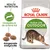 Royal Canin Active Life Outdoor kattenvoer, tekst: Ondersteunt de actieve kat, aangepaste brokgrootte, afbeelding van een kat en drie brokjes zichtbaar op de verpakking.