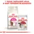 Royal Canin Savour Exigent száraztáp és Royal Canin Instinctive nedves eledel macskáknak. Felirat: 1 tasak tartalmát adja a napi tápszemcse-adaghoz.