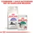 Royal Canin Regular Sterilised 7+ kattenbrokken en Royal Canin Instinctive 7+ natvoeding. Tekst: Combineer 1 zakje natvoeding met de dagelijkse brokken.