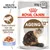 Royal Canin Ageing 12+ kattenvoer in gelei, 85g x 12. Gezondheid van de gewrichten EPA/DHA. HEALTH NUTRITION. Afbeelding van kat en voer in gelei.