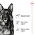 Njemački ovčar, piktogrami s tekstom: Digestive health, Bone & joint support, Optimal vitality support. Prikazan Royal Canin simbol. Tekst na engleskom jeziku.