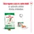 Royal Canin mini adult 8+ száraz és nedves eledel csomagolás, felirat: Etess vegyesen a száraz és a nedves eledelt az optimális etetési élmény érdekében.
