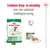 Royal Canin mini adult 8+ droogvoer tot 10 kg en natvoer, tekst: Combineer droog- en natvoeding voor een optimale voedingservaring. Beide verpakkingen en voer zichtbaar.