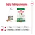 Daglig fodringsanvisning for Royal Canin Mini Adult: 2 kg hund – ½ dåse + 23 g, 6 kg – ½ dåse + 84 g, 10 kg – ½ dåse + 134 g. Billede af tør- og vådfoder.