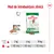 Mod de întrebuințare zilnică Royal Canin Mini Adult: pentru câini de 2 kg, 6 kg și 10 kg, combinație de ½ conservă plus 23 g, 84 g sau 134 g hrană uscată, tabel dozaj inclus.