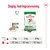 Daglig fodringsanvisning for Royal Canin Mini Ageing 12+: hundevægt 2 kg – ½ dåse + 23 g, 6 kg – ½ dåse + 85 g, 10 kg – ½ dåse + 136 g. Billede af tør- og vådfoder.