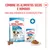 Royal Canin Mini Puppy em molho