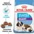 Royal Canin Starter Mother & Babydog Giant -koiranruokapakkaus, kuvassa emä ja pentuja, nappuloiden koko esitetty, tekstit: Health Nutrition, Start complex, Adapted kibble size, Rehydratable. Royal Canin Starter Mother & Babydog Giant -koiranruokapakkaus, kuvassa emä ja pentuja, nappuloiden koko esitetty, tekstit: Health Nutrition, Start complex, Adapted kibble size, Rehydratable.
