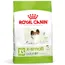 Royal Canin X-Small Adult 8+ - Sparpaket: 2 x 1,5 kg