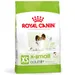 Royal Canin X-Small Adult 8+ - 1,5 kg