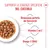 Royal Canin X-Small Puppy in salsa