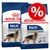 Lot de 2 sacs Royal Canin Maxi Adult, croquettes pour grands chiens de 26 à 44 kg, texte promotionnel avec symbole pourcentage en rouge visible sur l’emballage. Lot de 2 sacs Royal Canin Maxi Adult, croquettes pour grands chiens de 26 à 44 kg, texte promotionnel avec symbole pourcentage en rouge visible sur l’emballage.