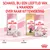 Schakel bij een leeftijd van 4 maanden over naar kittenvoeding. Royal Canin Mother & Babycat tot 4 maanden, daarna Royal Canin Kitten en Maine Coon Kitten. 1 maand, 4 maanden.