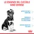 Le esigenze del cucciolo sono diverse: difese naturali immature, periodo di apprendimento e di educazione, sistema digestivo delicato. Marchio Royal Canin visibile.