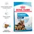 Pachet hrană uscată Royal Canin Starter Mother & Babydog Maxi 1–2 months, imagine cu cățea și pui, text: Susține sănătatea mamelor și a puilor acestora, Sistem imunitar puternic, Crochete rehidratabile.