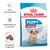 Royal Canin Puppy Medium 2–12 months hondenvoer, sterke immuunsysteem, ontwikkeling van de hersenen, aangepaste brokgrootte, verpakking met hond en blauwe accenten, fase 3 stage