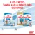 A los 2 meses, cambia a un alimento para cachorros. Royal Canin Starter 1–2 meses y Puppy 2–12 meses. Productos Royal Canin Starter y Puppy visibles en envases grandes y pequeños.
