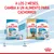 A los 2 meses, cambia a un alimento para cachorros. Royal Canin Starter 1–2 meses y Puppy 2–10 meses. Imagen de envases secos y húmedos con marcas y edades visibles.
