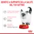 Benefici a supporto della salute del gattino: consistenza morbida per denti da latte, difese naturali ottimali con vitamine e antiossidanti, sviluppo cerebrale con DHA. Royal Canin.