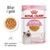 Royal Canin Kitten i gelé