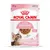 Royal Canin Kitten Sterilised 6–12 months, 85 g. Chunks in gravy. No preservatives. Billede af killing og foderstykker i sovs. Tekst på engelsk og fransk.