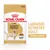 Sachet Royal Canin 140 g, Adult Labrador Retriever, Ideal Weight, Texture adaptée, illustration d’un labrador et croquettes visibles sur l’emballage. Sachet Royal Canin 140 g, Adult Labrador Retriever, Ideal Weight, Texture adaptée, illustration d’un labrador et croquettes visibles sur l’emballage.