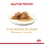 Adapted texture wet food shown on a plate. Text: To help stimulate the Labrador Retriever’s appetite.
