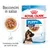 Royal Canin Puppy Maxi 2–15 months, bocconcini in salsa, confezione da 140 g x10, consistenza morbida per denti da latte, immagine di un cucciolo e del prodotto in ciotola. Royal Canin Puppy Maxi 2–15 months, bocconcini in salsa, confezione da 140 g x10, consistenza morbida per denti da latte, immagine di un cucciolo e del prodotto in ciotola.