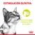 Texto: ESTIMULACIÓN OLFATIVA. Estimula el agudo sentido del olfato de los gatos. Imagen de un gato y gráfico explicativo. Logotipo Royal Canin visible.