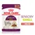 Royal Canin Sensory Smell, 85 g, molho. Embalagem com imagem de um gato e pedaços de comida. Texto visível: SENSORY SMELL MOLHO.