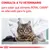 CONSULTA A TU VETERINARIO para saber qué alimento ROYAL CANIN es adecuado para tu gato. Imagen de un gato en una consulta veterinaria.