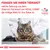 Текст на немецком: FRAGEN SIE IHREN TIERARZT welche Nahrung aus dem Veterinär-Sortiment von ROYAL CANIN die richtige Wahl für Ihre Katze ist. VETERINARY NUTRITION.