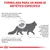 Texto: Formulada para un manejo dietético específico. Explicación sobre problemas renales en gatos, síntomas y efectos en la calidad de vida. Imagen de gato con ilustración de riñón.