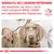 SKONSULTUJ SIĘ Z LEKARZEM WETERYNARII aby dowiedzieć się, która z karm weterynaryjnych ROYAL CANIN jest odpowiednia dla Twojego psa. VETERINARY NUTRITION.