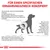 Grafik zeigt Zusammenhang zwischen Harnkristallen und Blasensteinen bei Hunden. Struvite bilden sich im alkalischen Harn, Kalziumoxalate im sauren bis neutralen pH-Wert.