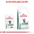 ROYAL CANIN VETERINARY DIABETIC cat food, wet pouch with 'thin slices in gravy' and dry bag. Text above: ALSO AVAILABLE IN DRY.
