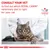 Consult your vet to find out which Royal Canin veterinary diet is right for your cat. Veterinary nutrition advice shown with a cat and a person in a white coat.