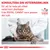 KONSULTERA DIN VETERINÄRKLINIK för att ta reda på vilket veterinärt dietfoder från ROYAL CANIN® som passar din katt. VETERINARY NUTRITION.