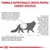 Formulă nutrițională creată pentru cerințe specifice. Informații despre cristale urinare, struviți și efectele supraponderalității la animalele de companie. Imagine cu silueta unei pisici.