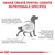 Hrană creată pentru cerințe nutriționale specifice. Probleme digestive la câini: asimilare incorectă a nutrienților, vărsături, diaree, scaune moi, dificultate în metabolizarea grăsimilor.