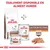 Royal Canin Gastrointestinal Low Fat pour chiens, croquettes et boîtes humides. Texte visible : ÉGALEMENT DISPONIBLE EN ALIMENT HUMIDE, GASTROINTESTINAL LOW FAT MOUSSE.